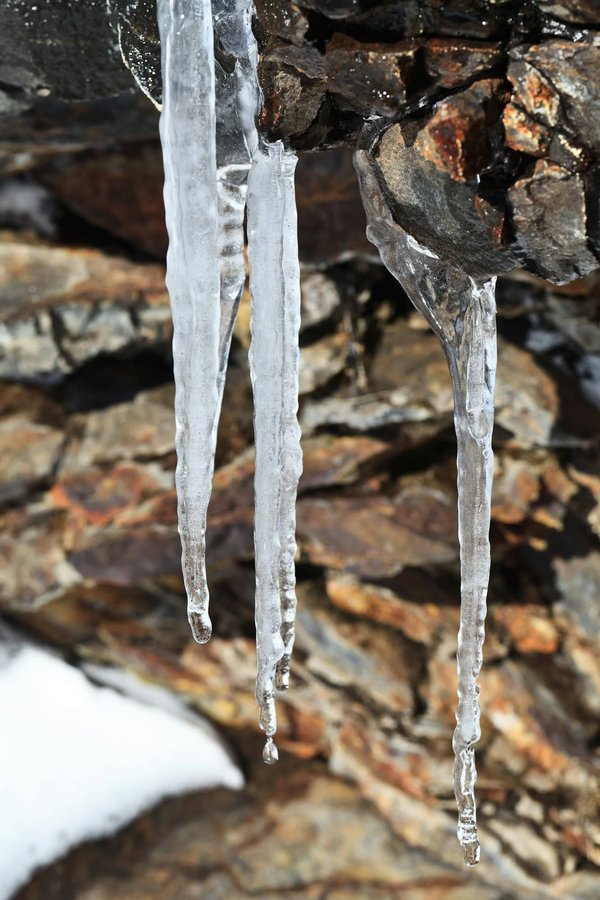 What are the Best Tips for Incorporating Fringe into Professional Outfits?